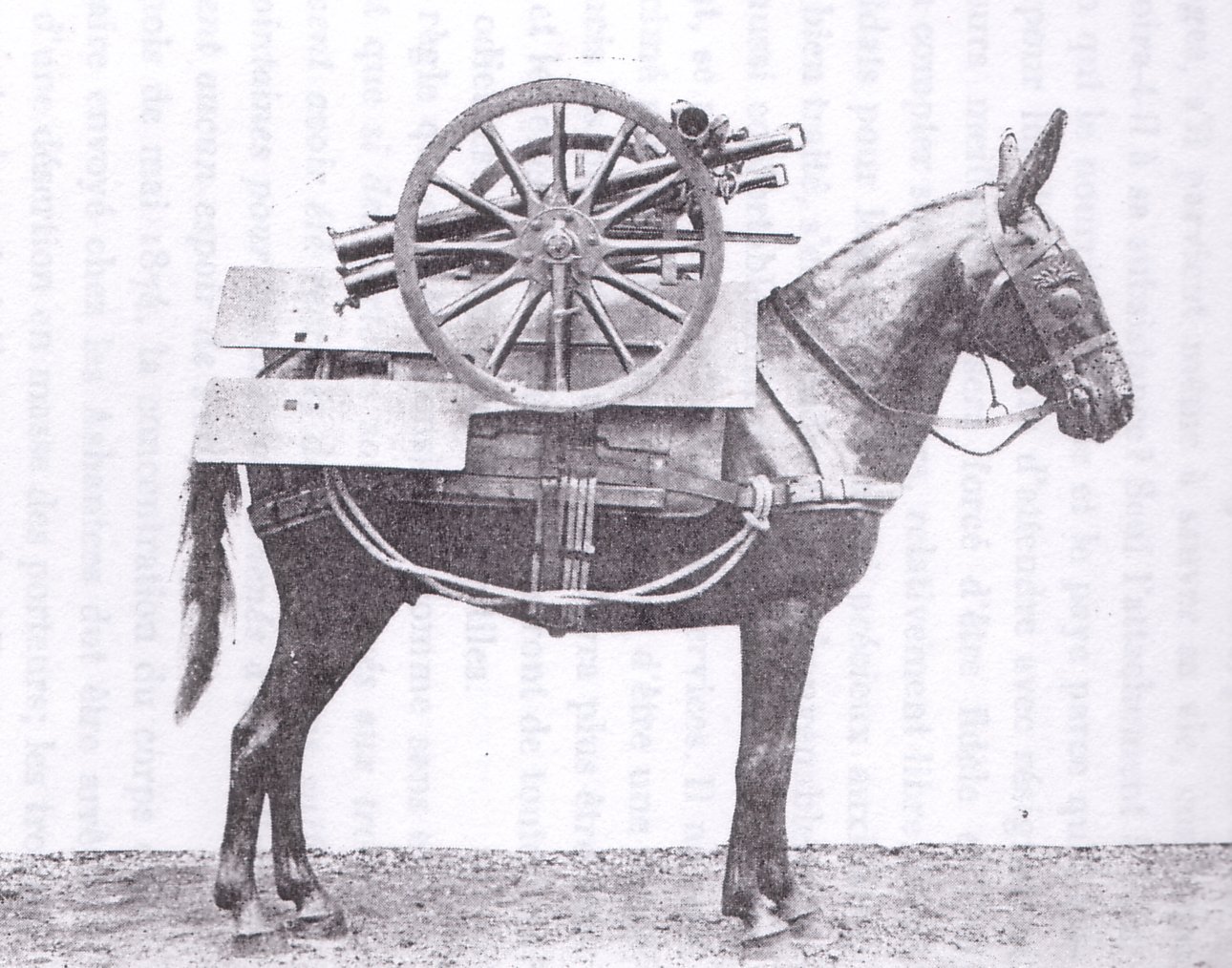 70mm Howitzer wheels and shield mounted on a pack mule