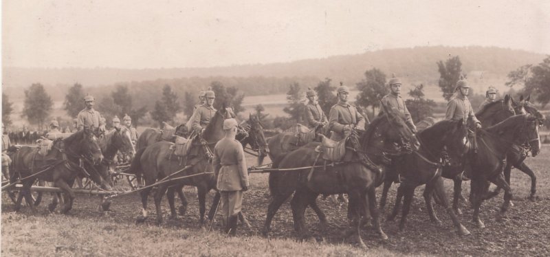 German Field Artillery Driver Team