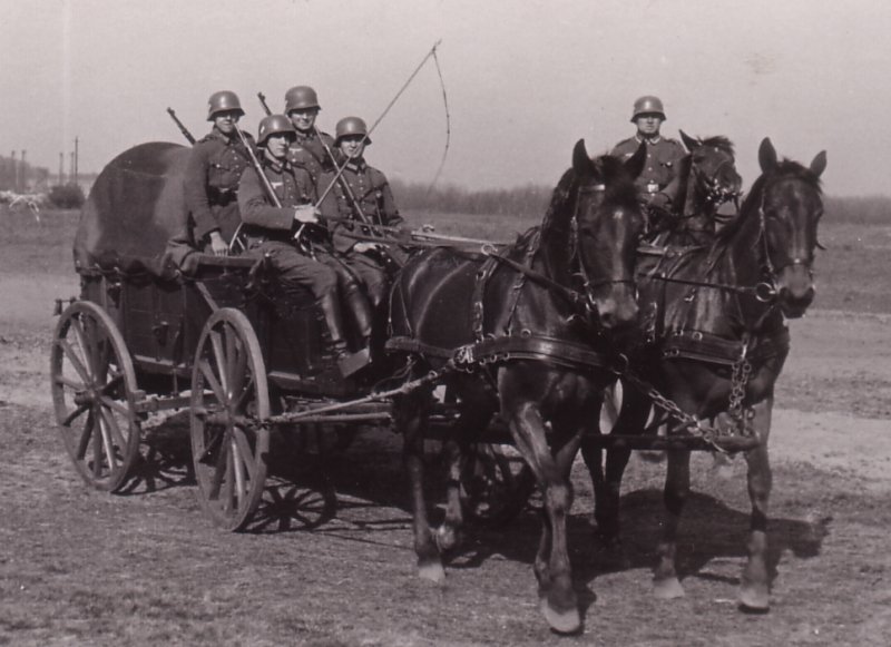 WW2 German Wagon and Horse Team